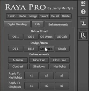Enhance details with Raya Pro