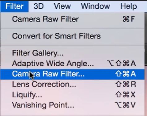 Camera Raw Filters