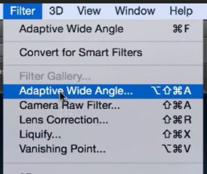 Adaptive Wide Angle