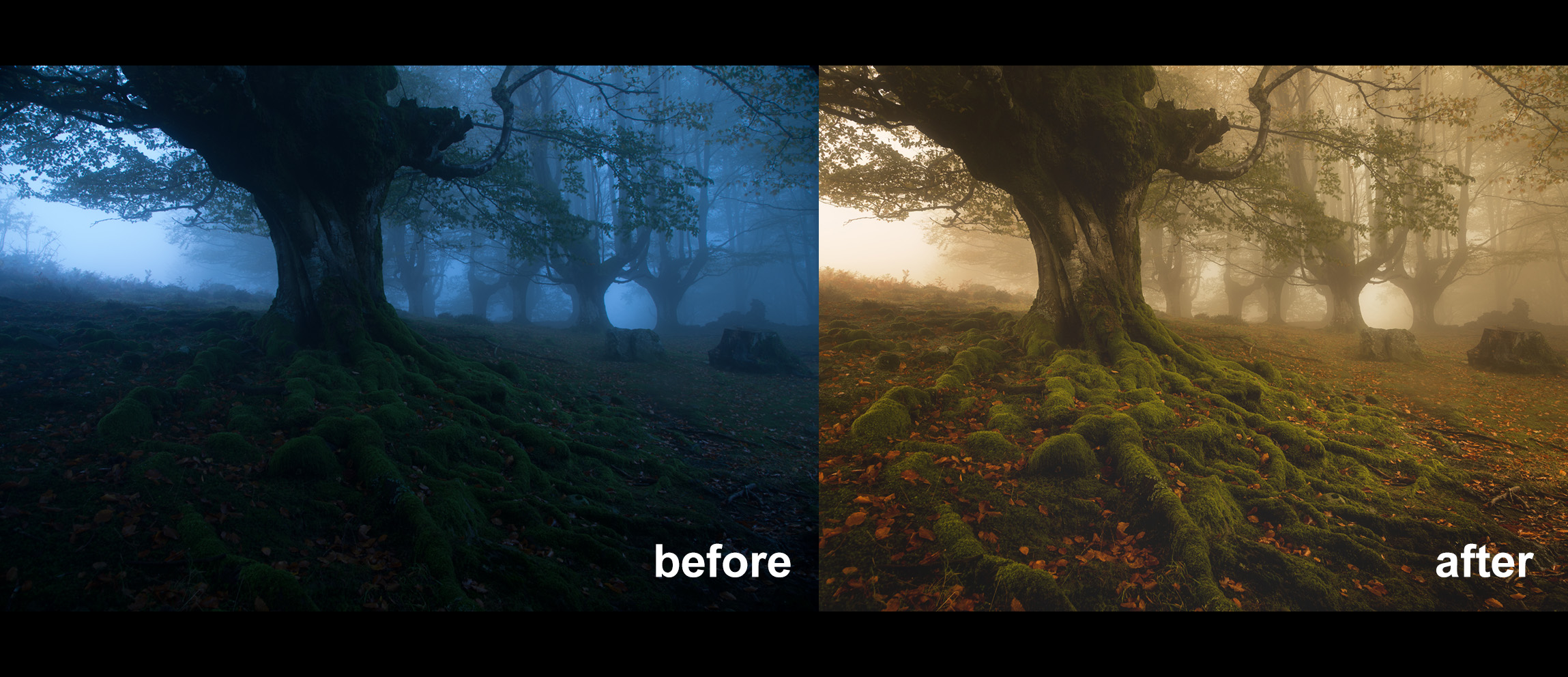 CJ7: How To Edit A Foggy, Moody Landscape In Photoshop