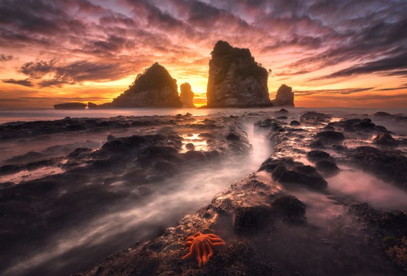 Jimmy McIntyre's Portfolio Favourite Photos Shutter...Evolve