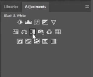 create a black and white layer