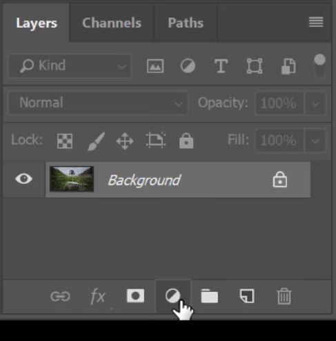 new fill or adjustment layer