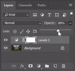 levels layer opacity