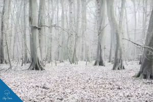 creating a winter scene in photoshop