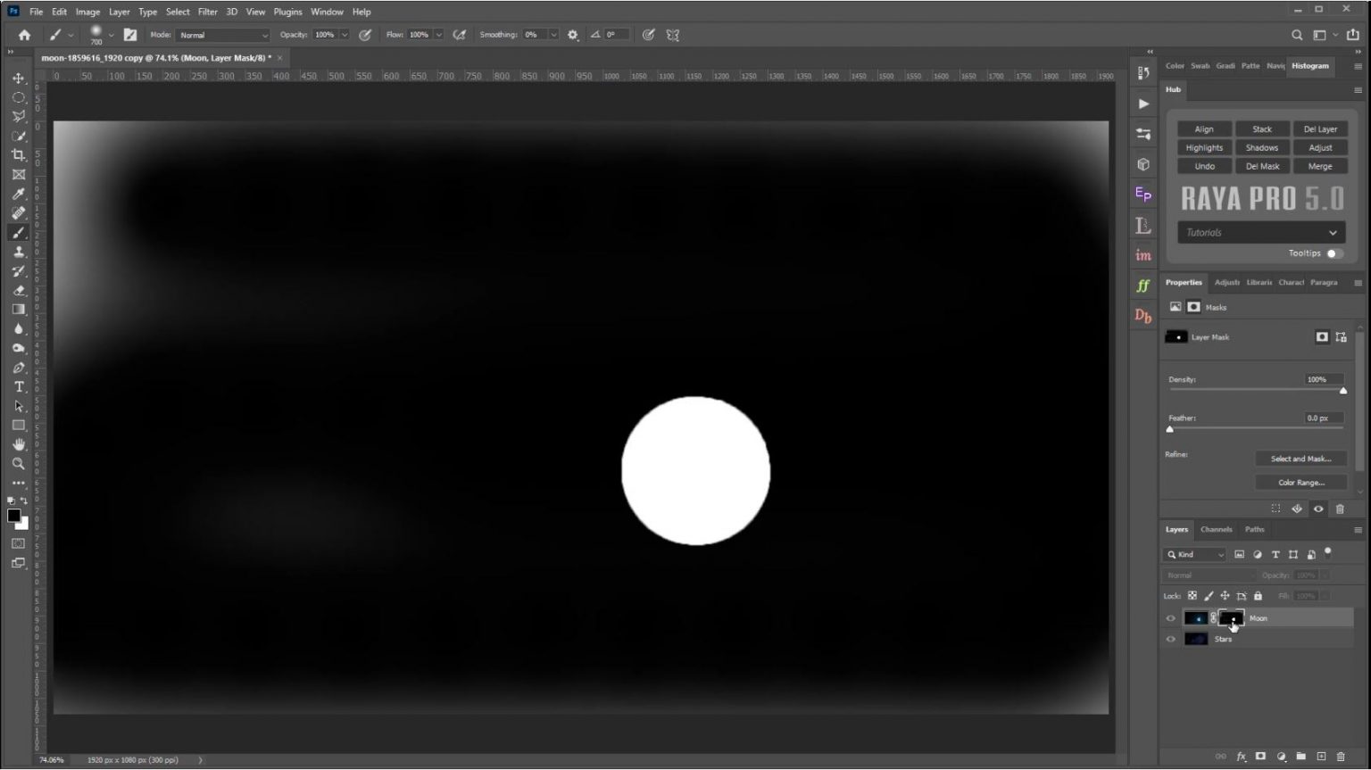 What Layer Masking Does in Shutter...Evolve