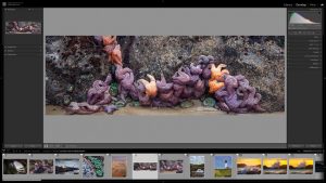 Getting to know lightroom