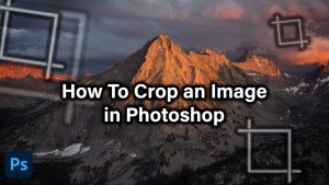 how to crop an image in photoshop