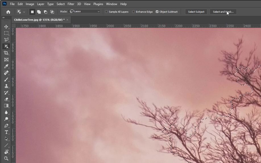 How To Select Branches in Photoshop
