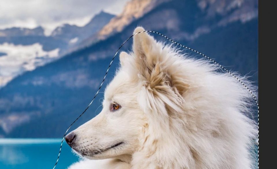 Selective Brightening Technique in Shutter...Evolve