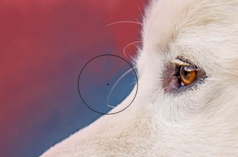 Selective Brightening Technique in Shutter...Evolve