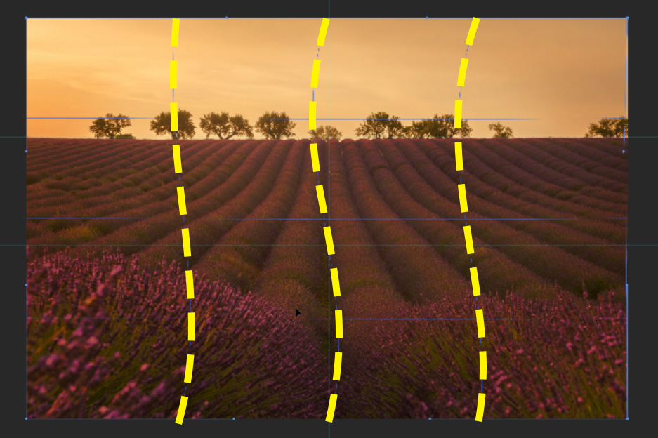 How To Use the Warp Tool to Balance Composition
